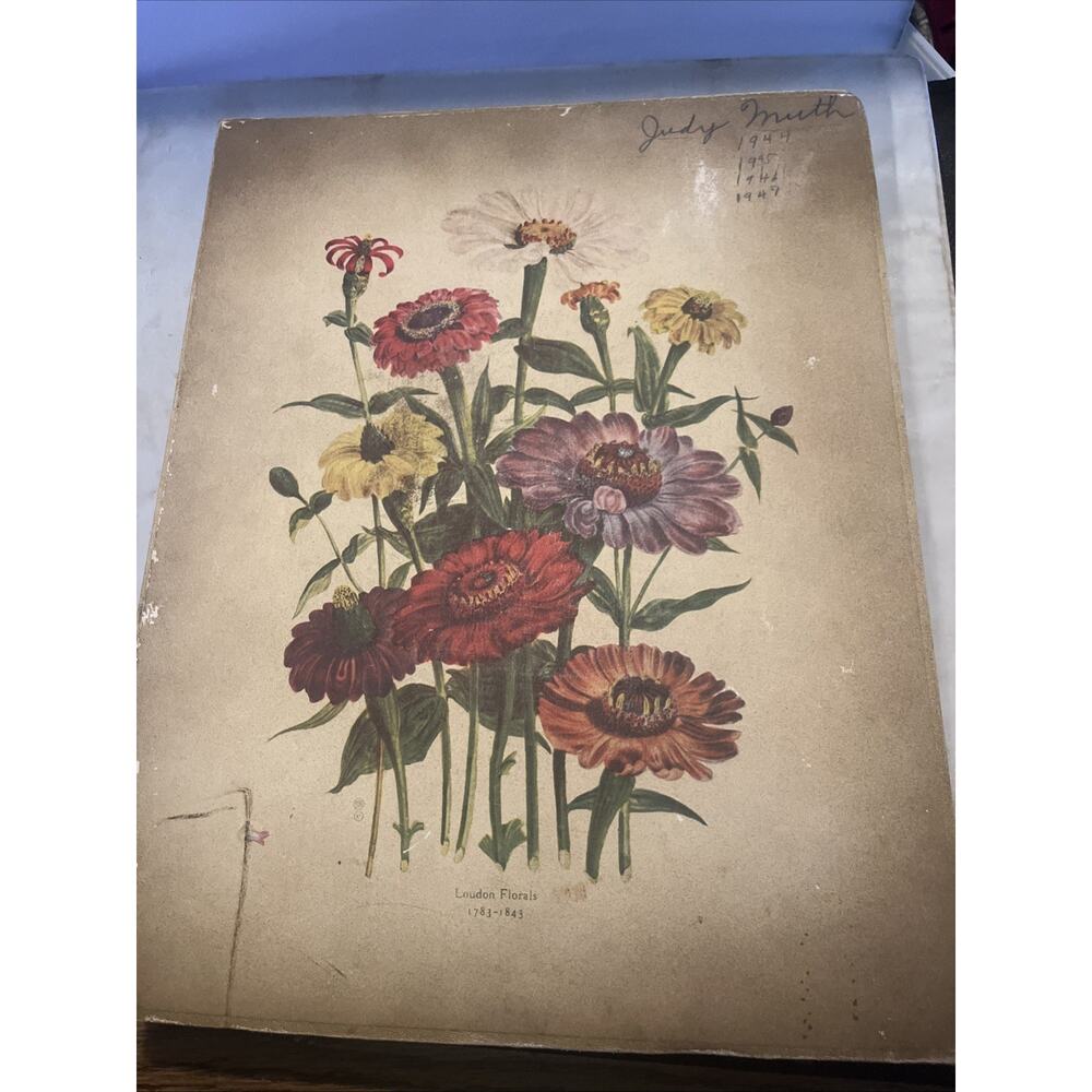 Large 1940s Filled Scrapbook Cards, scraps, NEAT